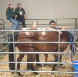 4-H youth in a horse ring with a pony