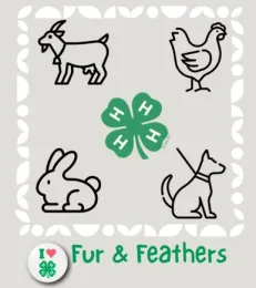 Fur & Feathers