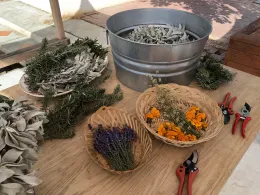 Materials for making a sage bundle on a table