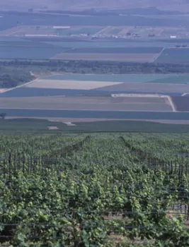 farms