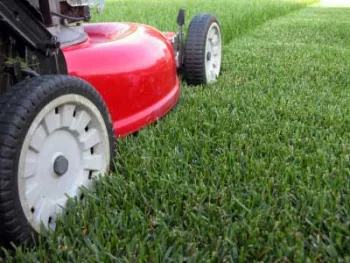 lawn mower