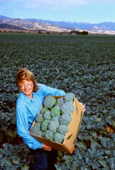 BroccoliFarmer