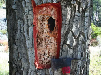 Debarking