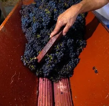 FruitfulHarvest2