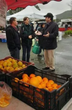 NovatoGrocer1