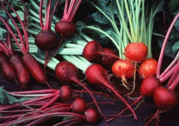 beets assorted