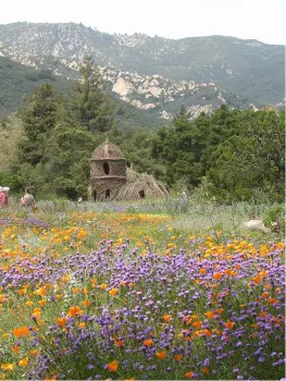 c&g nature seen