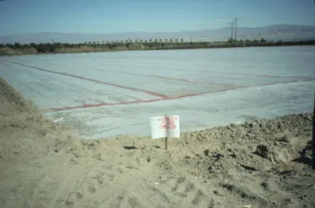 fumigated field