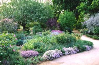 Mary Wattis Brown Native Garden at the UC Davis Arboretum