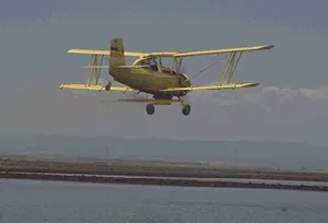 Airplane