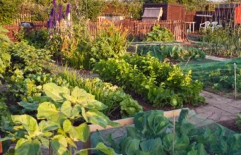 Vegetable garden page