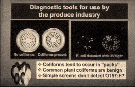microbe2
