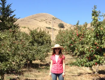 Gale's orchard
