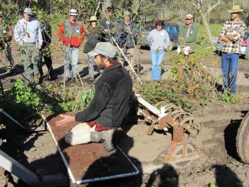 transplanter