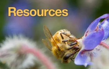 Resources