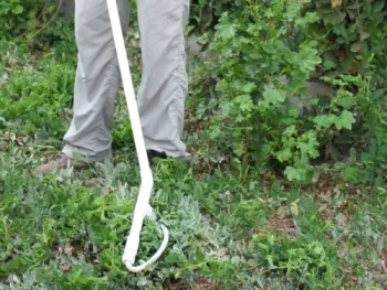 Photo 2: Demonstration of ropewick applicator. Roundup mix, stored in handle, seeps out rope at bottom of applicator.