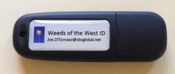 Flash drive