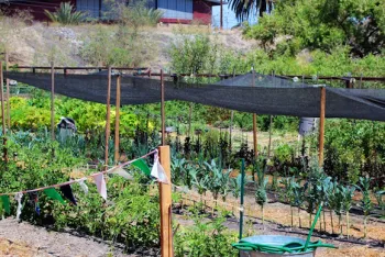 Farm Lot 59