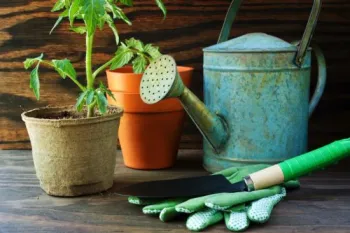 Gardening Basics