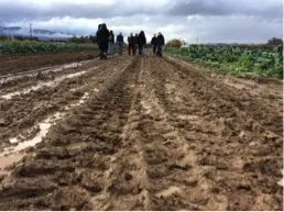Farm Tour