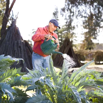 Man in hat watering plants