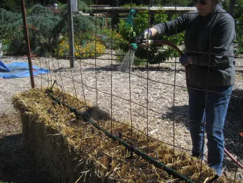 straw bale prep