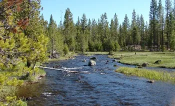 Stream Picture 4