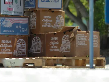 Produce Boxes
