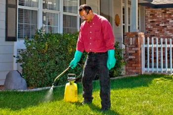 applicator