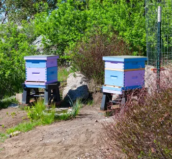 hive_location
