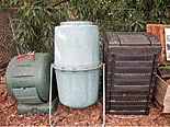 bin losers