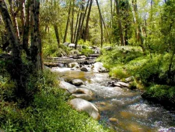 Santa Ana River