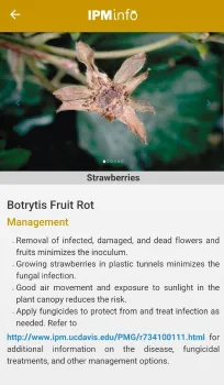 Disease-management