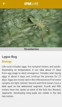 Pest-biology