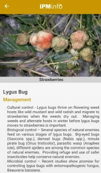 Pest-management