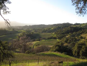 Sonoma landscape