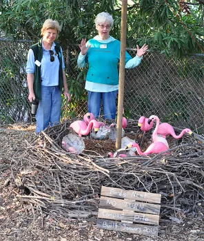 Fun with the Birdnest bin
