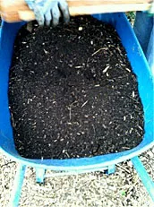 Sifted compost