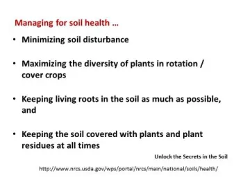 Four Soil Health Principles