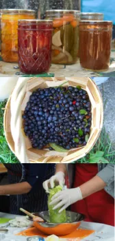 3 photos, shorter