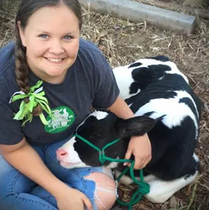 calf1