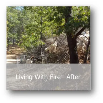 Fire - After