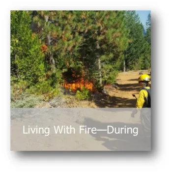 Fire - During