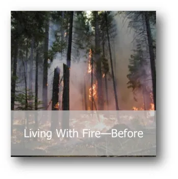 Fire - Before