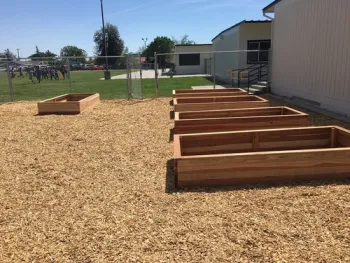 4.23.18 garden beds