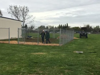 4.6.18 mulch