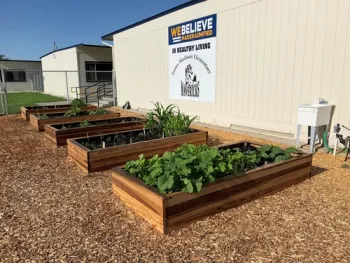 5.31.18 garden