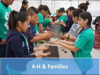 4-H