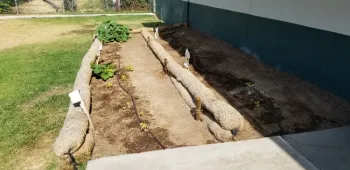 PumpkinGarden