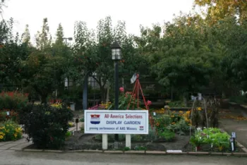 AAS